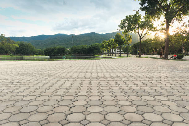 Best Affordable Driveway Pavers  in Napili Honokowai, HI